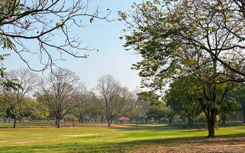 Leisurevalleymarch2026