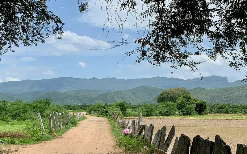 Gudimallam village road, Andhra Pradesh India