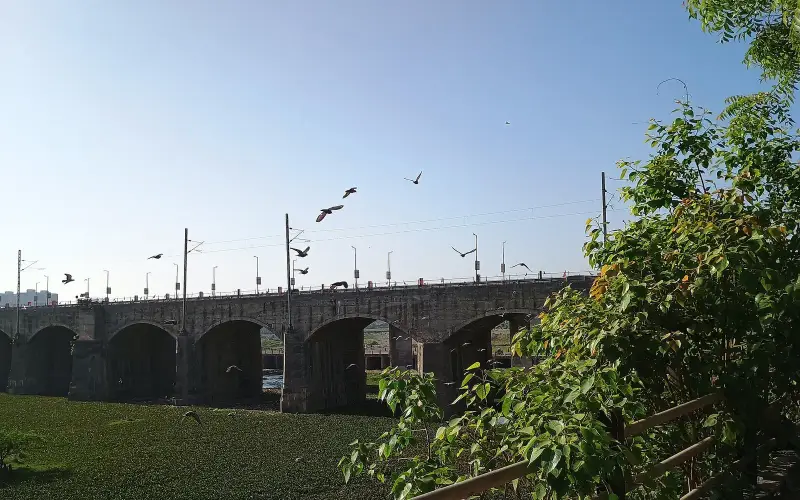 Shankar Aashram Nilkanth Mahadev Temple, Morbi, Gujarat, India4