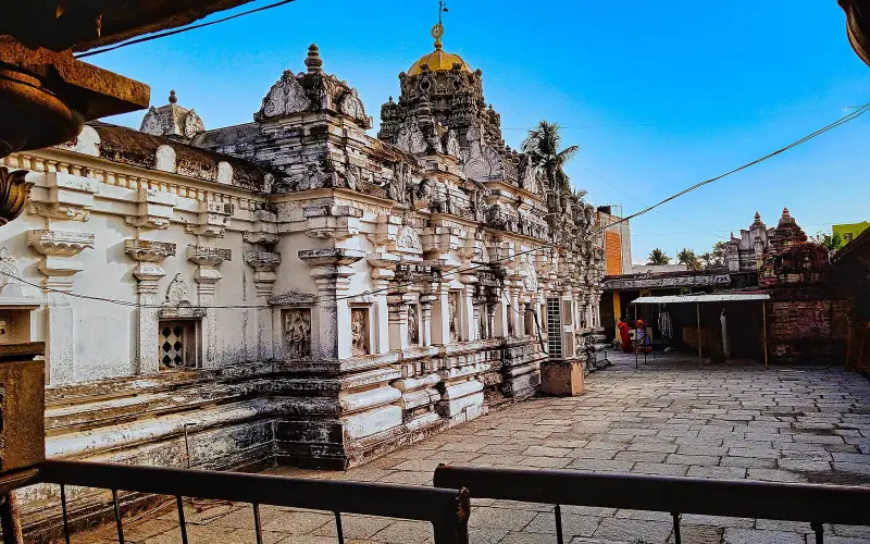 11th century Kurmanatha Swamy Temple, Srikurmam Andhra Pradesh 02